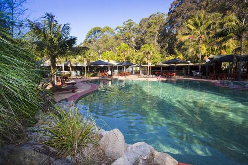 a large swimming pool with palm trees and umbrellas at NRMA Murramarang Beachfront Holiday Resort in Durras