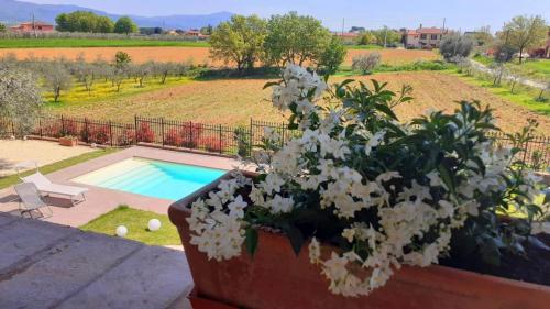 SUNNY HILL – Photos 3