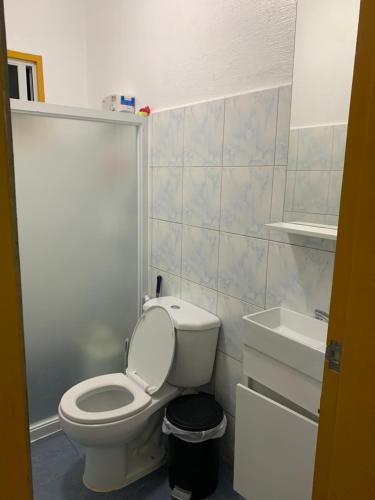 パングラオにあるドモス ネイティブ ゲスト ハウスの白いトイレと洗面台のあるバスルーム