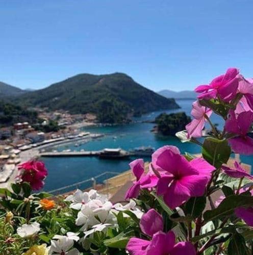 a view of a body of water with flowers at Marthas Studios in Parga