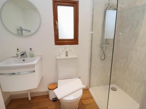 W łazience znajduje się toaleta, umywalka i lustro. w obiekcie Copper Beach w mieście Blandford Forum