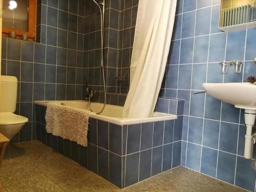 a blue tiled bathroom with a shower and a sink at Casa Lina in Promontogno