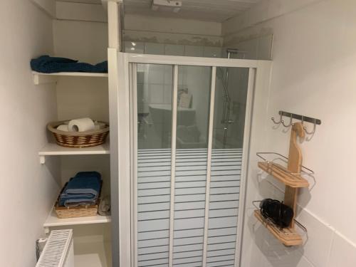 a walk in shower in a room with shelves at Le Pavillon de Flore by Maison Brasseurs d'Etoiles in Liège