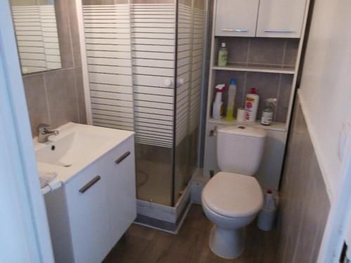 Kúpeľňa v ubytovaní APPARTEMENT T2 confort,Parking,balcon,près Parc des Expositions,10 minutes plage
