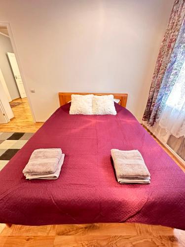 Llit o llits en una habitació de Bruninieku Street Apartment 41