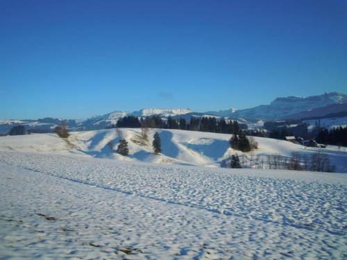 Ferienwohnung Fischbachboden v zimě