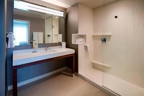 a bathroom with a sink and a mirror and a shower at Courtyard by Marriott Atlanta Vinings/Galleria in Atlanta