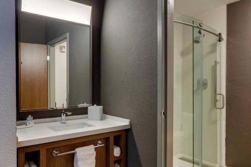 a bathroom with a sink and a glass shower at Courtyard Lexington South/Hamburg Place in Lexington