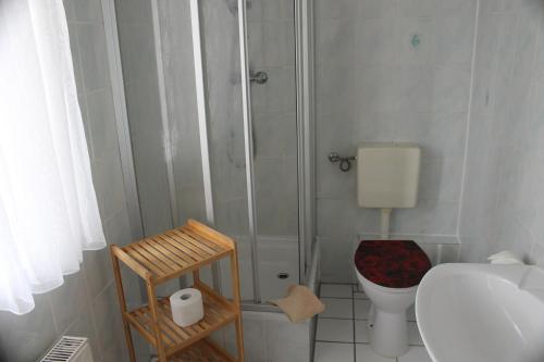 a small bathroom with a shower and a toilet at Gasthof & Pension Zum Saalestrand in Bad Dürrenberg