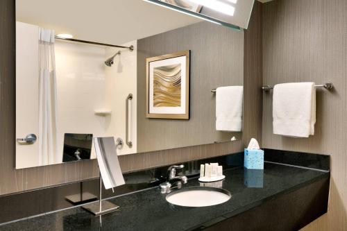 a bathroom with a sink and a mirror at Courtyard by Marriott Charlotte Airport/Billy Graham Parkway in Charlotte