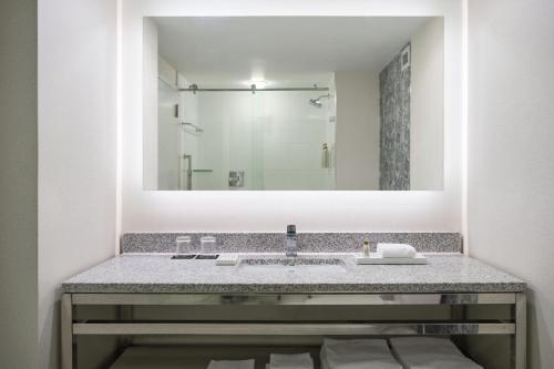 a bathroom with a sink and a large mirror at Renaissance Meadowlands Hotel in Rutherford