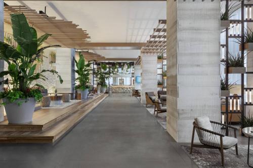 a hallway with potted plants in a building at Marriott Virginia Beach Oceanfront Resort in Virginia Beach