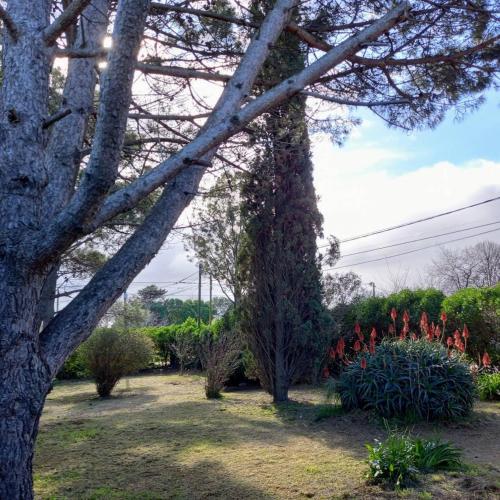 Chieti Miramar – Photos 2