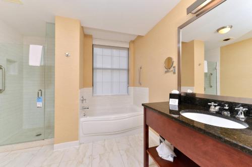 y baño con lavabo, bañera y ducha. en Fairfield Inn & Suites by Marriott Albany Downtown, en Albany