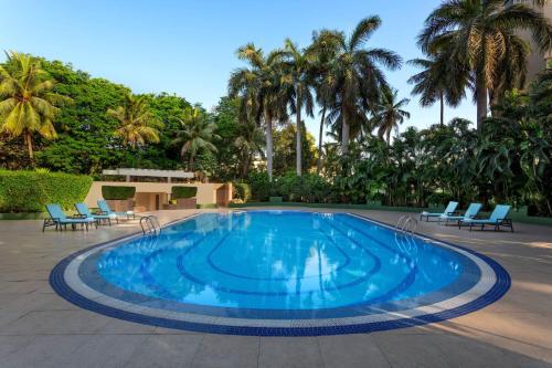 een groot zwembad met blauwe stoelen en palmbomen bij Surat Marriott Hotel in Surat