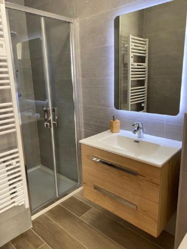 une salle de bain avec un lavabo et une douche dans l'établissement Marycel t2 avec terrasse wifi clim et garage, à Bandol