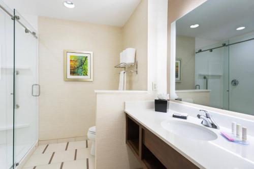 a bathroom with a sink and a toilet and a mirror at Fairfield Inn & Suites by Marriott Fort Stockton in Fort Stockton