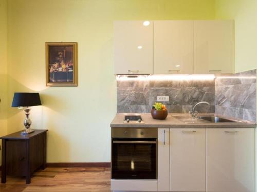 Η κουζίνα ή μικρή κουζίνα στο Apartments Antique