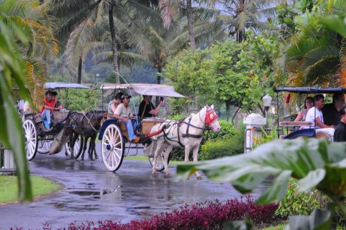 a horse drawn carriage in the rain with people at Manohara Resort in Borobudur