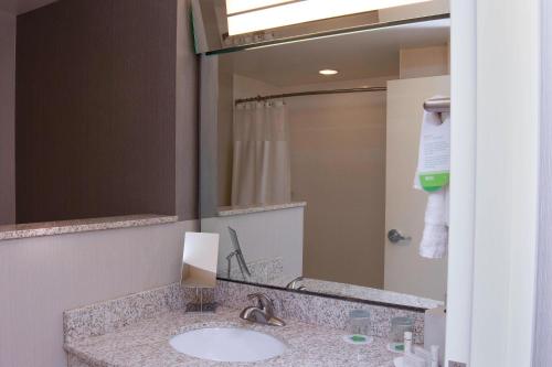 珍珠的住宿－傑克遜機場/明珠萬怡酒店，一间带水槽和大镜子的浴室