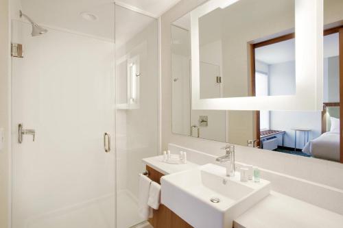 a bathroom with a sink and a shower and a mirror at SpringHill Suites by Marriott Murray in Murray