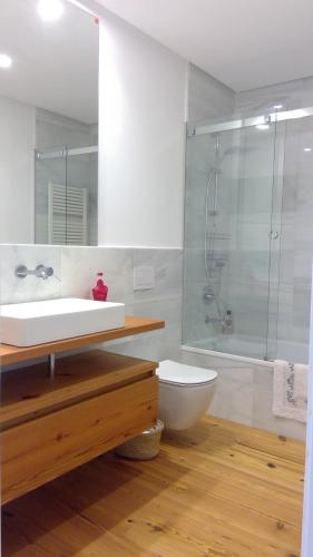 y baño con lavabo, ducha y aseo. en Preciosa Habitación Doble en Ático con Terraza II, en Santiago de Compostela