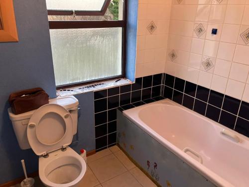 a bathroom with a toilet and a bath tub at Glynsk Pier Cottage in Carna