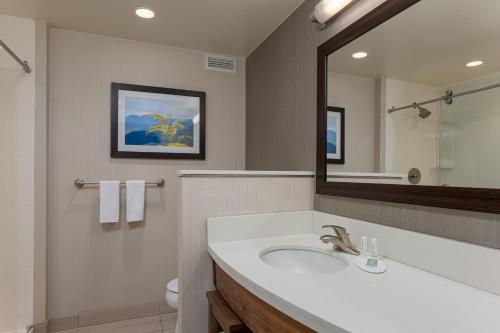 a bathroom with a sink and a mirror at Courtyard by Marriott Asheville Airport in Arden