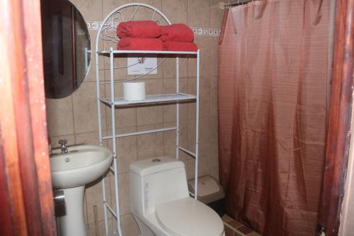 y baño con aseo, lavabo y ducha. en Casa Hidalgo cerca de playa Carrillo en Carrillo