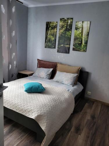 尤爾馬拉的住宿－Guest house Sunny，一间卧室配有一张带蓝色枕头的床