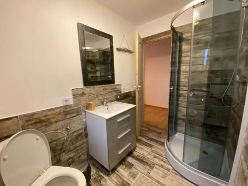 a bathroom with a toilet and a sink and a shower at Casa din Deal in Văleni