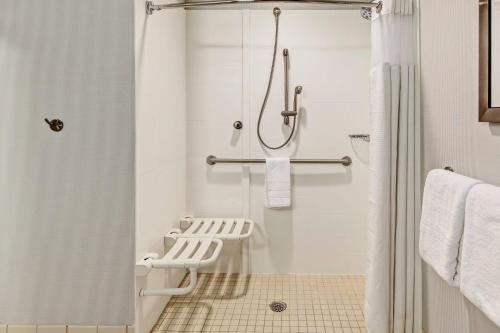 a bathroom with a shower and a toilet at Courtyard Lima in Lima