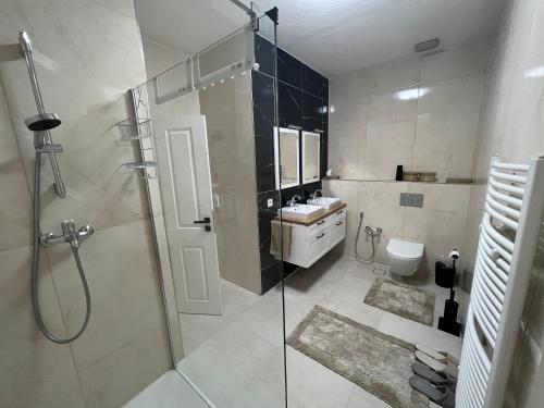 a bathroom with a shower and a sink and a toilet at Krügers Apartment in Barsinghausen