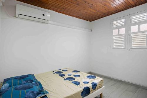 ein Schlafzimmer mit einem Bett in einem Zimmer mit einem Fenster in der Unterkunft Le Cataleya - Gîte "Terre et Truffes" in Le Lamentin