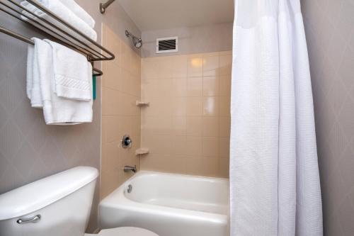 a bathroom with a white tub and a toilet and a shower at SpringHill Suites by Marriott Pittsburgh North Shore in Pittsburgh