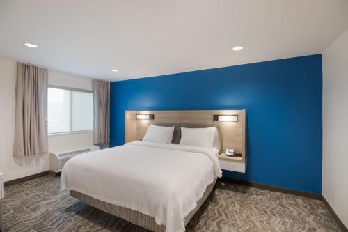 a bedroom with a large bed with a blue wall at SpringHill Suites by Marriott Dallas NW Highway at Stemmons / I-35East in Dallas