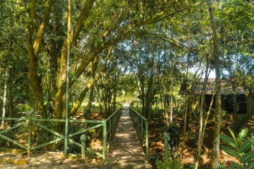 a bridge in the middle of a forest with trees at La Fortuna Natural Green in Fortuna