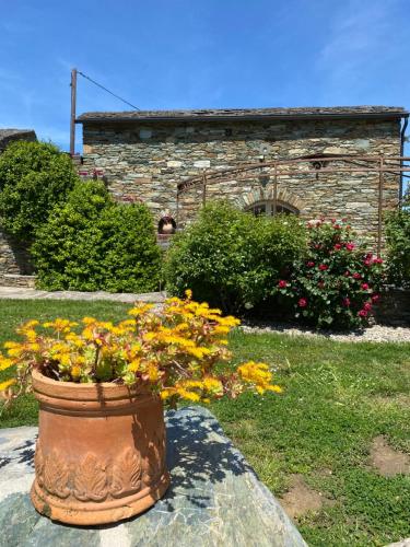 a pot of flowers sitting on a stone wall at Chambres d'hôtes et studios de charme - A Mandria in Murato