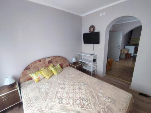 TV a/nebo společenská místnost v ubytování Apartman Kristina Ribarska banja
