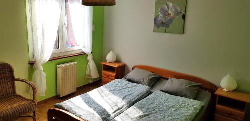 a green bedroom with a bed and a fan at Casa Dina in Lugano