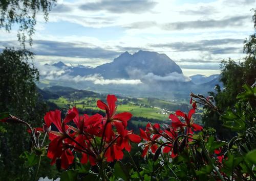 Vue générale sur la montagne ou vue sur la montagne depuis la ferme