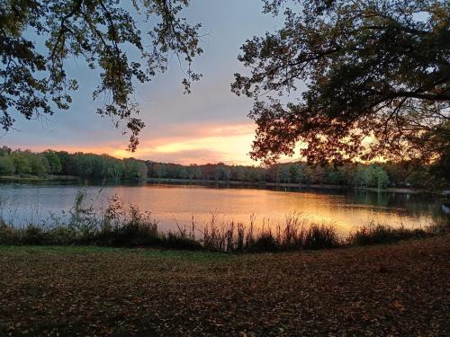a view of a lake with the sunset in the background at Molière in Rekem