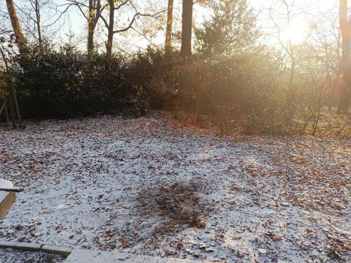 a pile of leaves on the ground in a park at Molière in Rekem