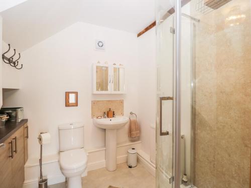 a bathroom with a toilet and a sink and a shower at The DunnitManor Farm in Salisbury