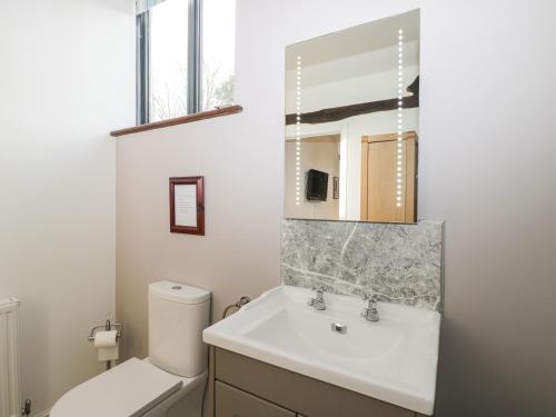 a bathroom with a sink and a toilet and a mirror at The DunnitManor Farm in Salisbury