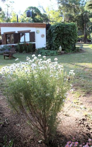 Casita Lavanda – Photos 2