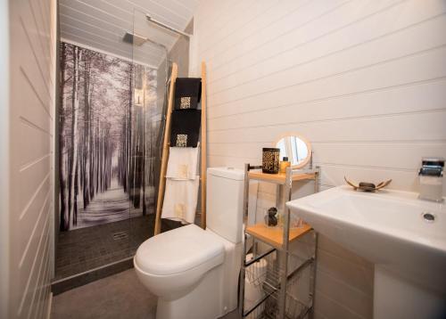 a bathroom with a toilet and a sink at Reflections, Netherby, near Carlisle in Longtown