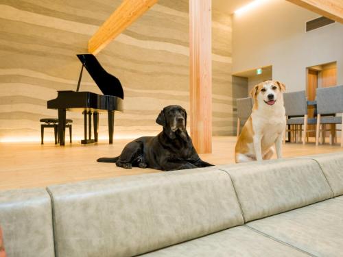 two dogs sitting on a couch in a room with a piano at Rakuten STAY VILLA Kamogawa Building A with Pool and Terrace and sauna Capacity of 12 persons Pets allowed in Kamogawa