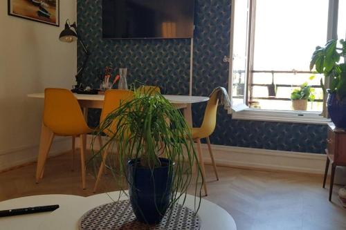 una maceta sentada en una mesa en una sala de estar en Appartement 300 m plage et port, en Banyuls-sur-Mer