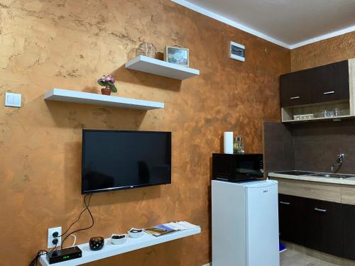een woonkamer met een televisie aan de muur bij Apartmani Vučinić in Cetinje